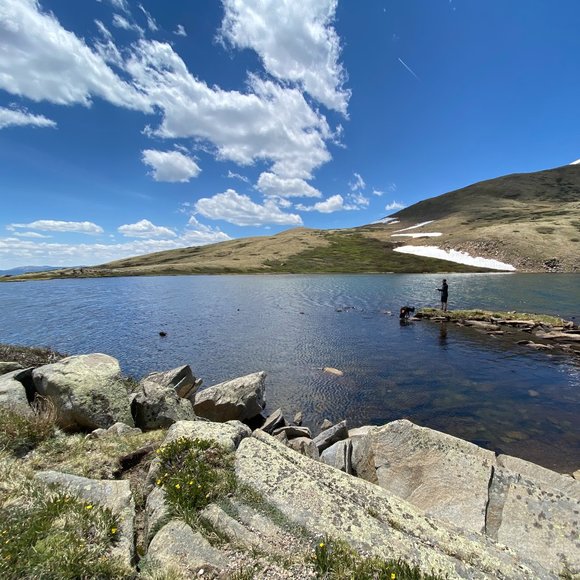 Meet your Posher, Michael - Picture 1 of 1